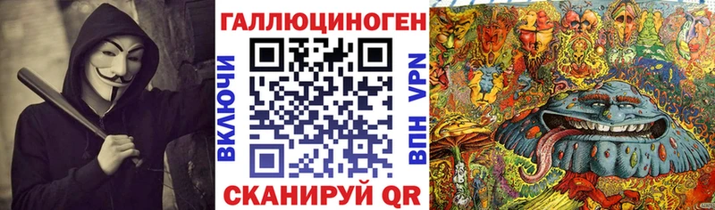 Галлюциногенные грибы Psilocybe  купить  цена  Калининград 