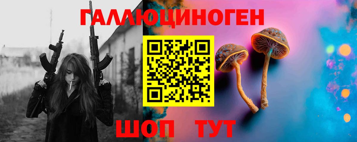 Калининград  Галлюциногенные грибы Cubensis  купить наркотик  Псилоцибиновые грибы мухоморы  Вход с VPN 